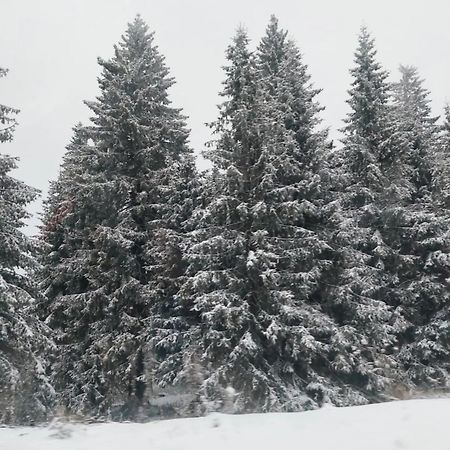 Apartmani Sorak Kopaonik, Studio Apartman A10 Exterior foto